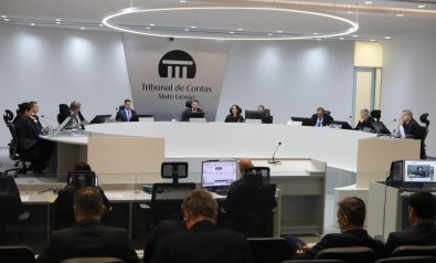 Plenario TCE
