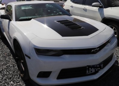 ragnatela camaro.jpg