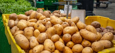 batata-cesta-feira