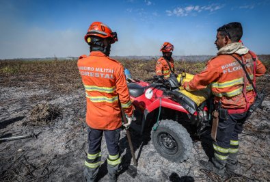 bombeiros-brigadistas