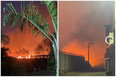 Batalhao Ambiental da Polï¿½cia Militar,