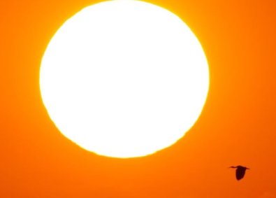 SOL-CALOR.JPG
