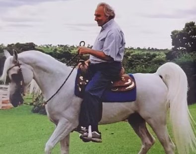 cavalo.jpg