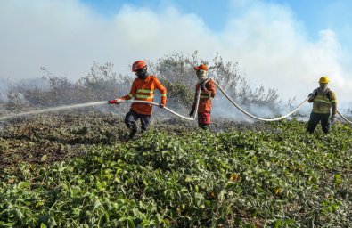 incendio-florestal