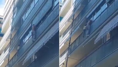 BRASILEIRO SALVA.JPG