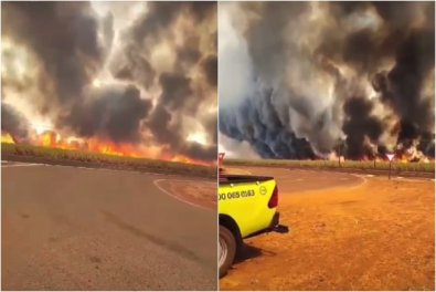 incendio-canavial-sonora