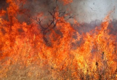 FOGO, CALOR, QUEIMADA.jpg