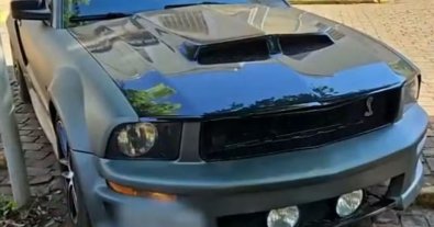 MUSTANG.JPG