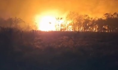 incendio terra indigena