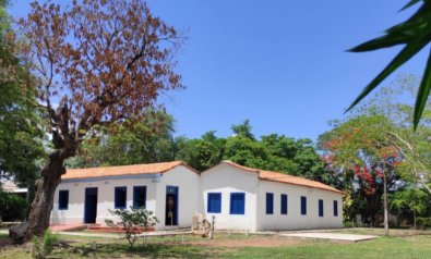 museu de historia natural de mt.JPG
