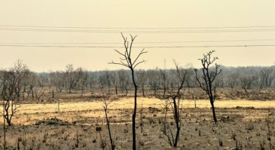AREA SECA.jpg