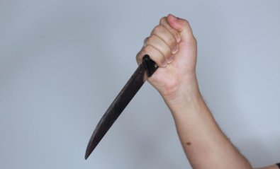 FACA.JPG