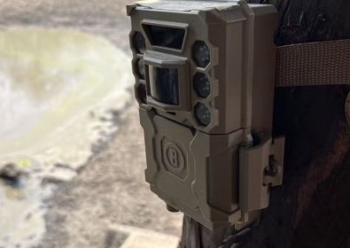 cameras.JPG