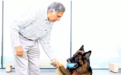 milionario e cachorro.jpg
