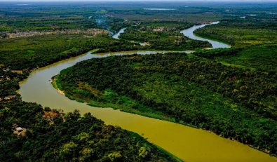 PANTANAL .jpg
