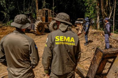 SEMA MT.jpg