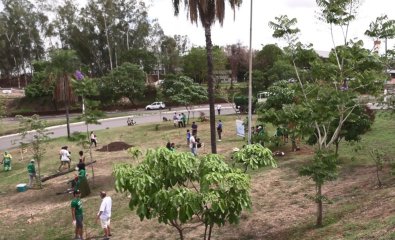 VERDE NOVO.jpg