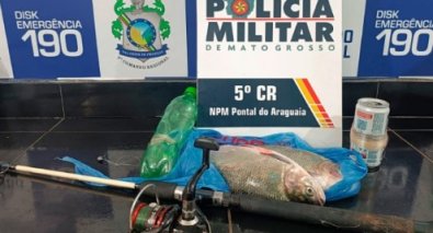 PEIXE PONTAL DO ARAGUAIA.jpg