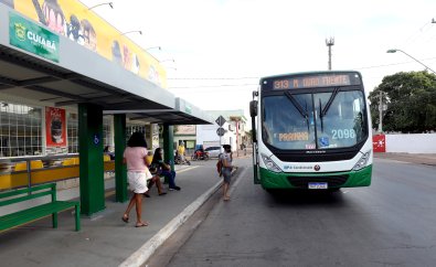 onibus 313.jpg