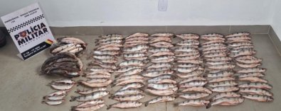 PEIXES APREENDIDOS.jpg