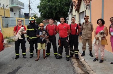 BOMBEIROS INCENDIO.jpg