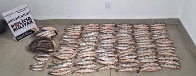 pescado apreendido 