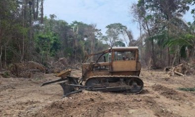 OPERACAO AMAZONIA.jpg