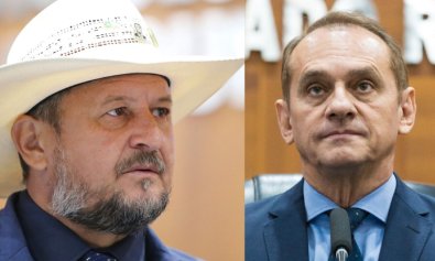 CATTANI-WILSON