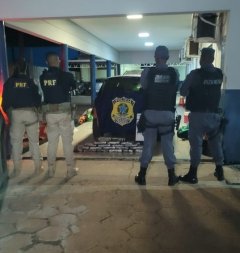 20 quilos de skank canarana .jpg