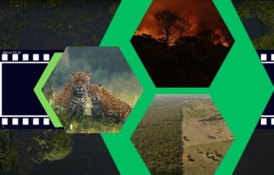 DOCUMETARIO PANTANAL.jpg