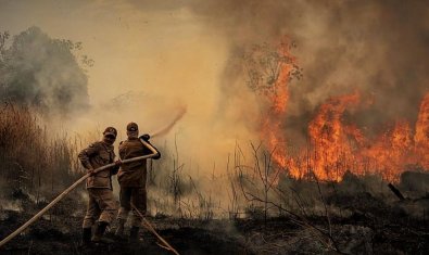 INCENDIO.jpg