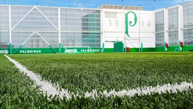 grama palmeiras