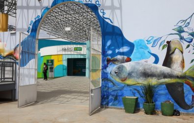 AQUARIO.jpg