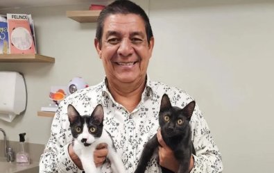 ZECA E GATOS.jpg