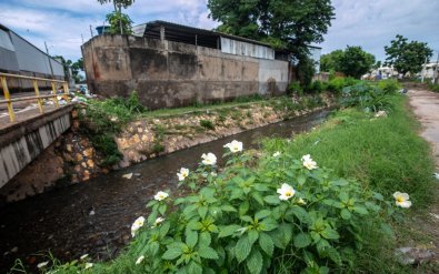 LIMPEZA SAO MATEUS1.jpg
