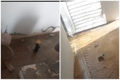 vandalismo DAE