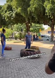 abilio crossfiteiro