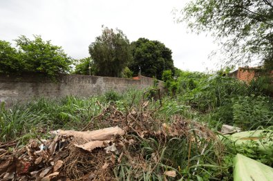 terreno abandonado