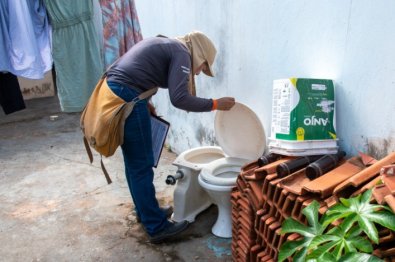 dengue e Chikungunya.jpg