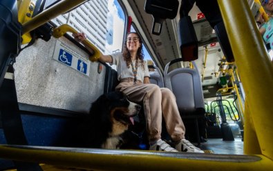 cao guia transporte
