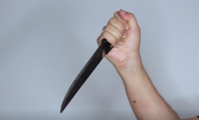 FACA.jpg