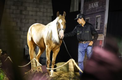 semana cavalo