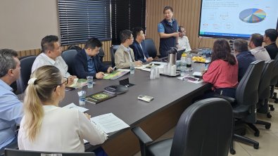 investidores chineses, primavera