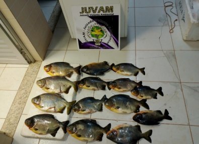 pesca irregular.jpg