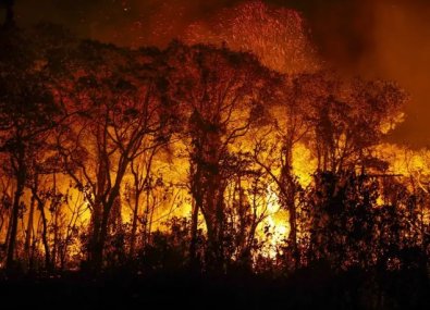 incendio pantanal.jpg