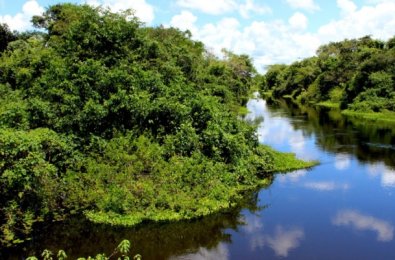 PANTANAL.jpg