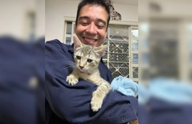 psicologo-tortura-gato