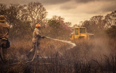 incendio florestal