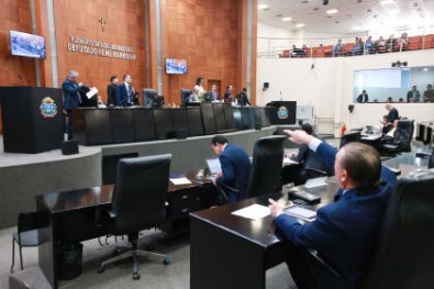 assembleia-plenario-al.JPG