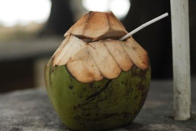 coco.JPG